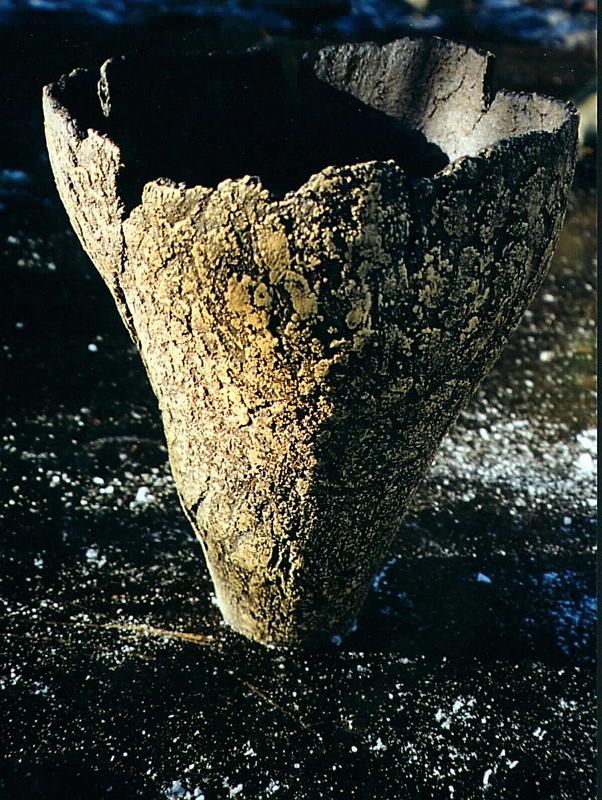 ark11